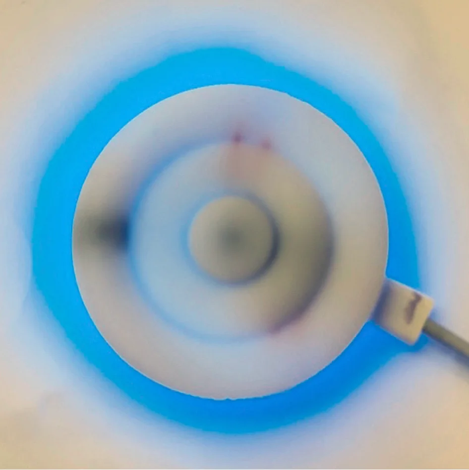 Onaka device emitting a blue NeoPixel breathing pulse
