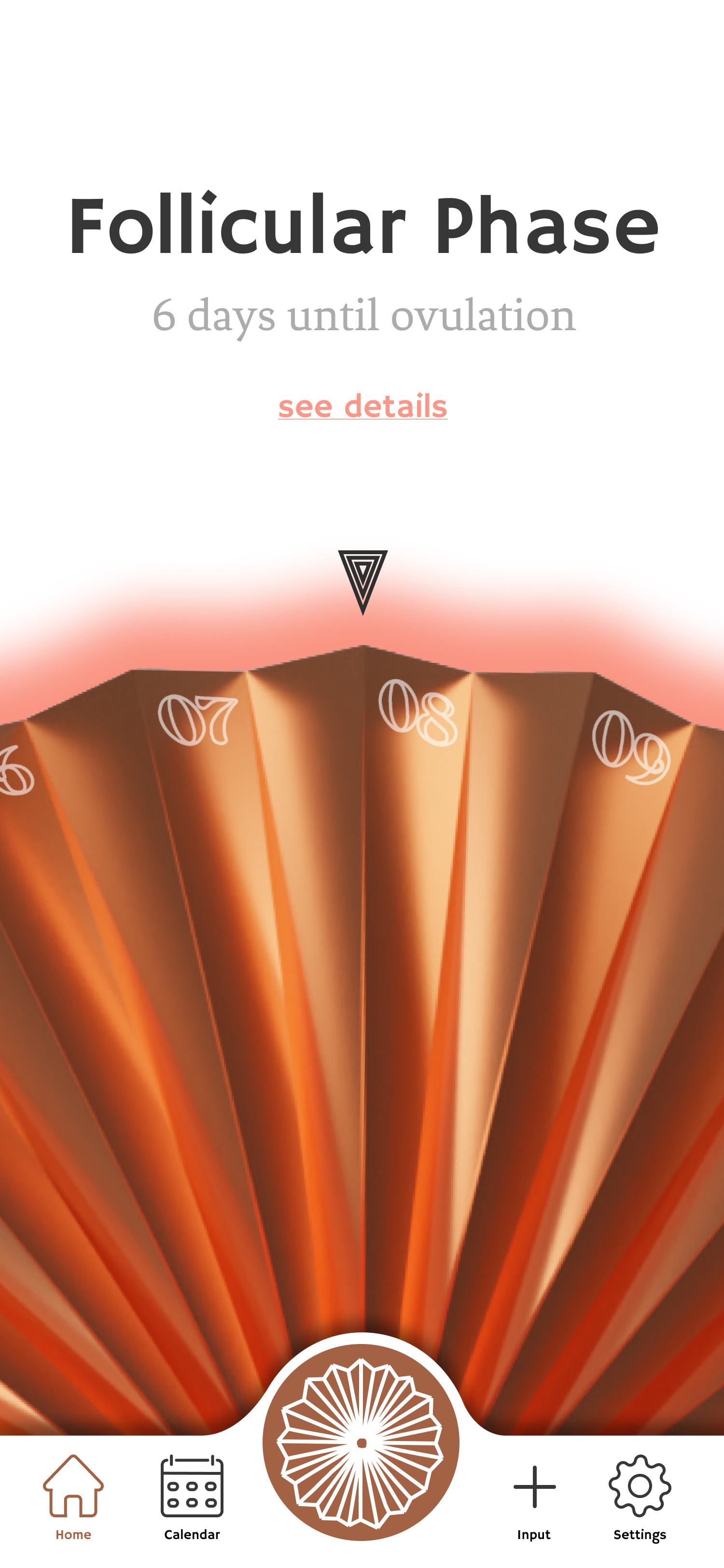 Home screen showing the Follicular Phase with 5 days until ovulation